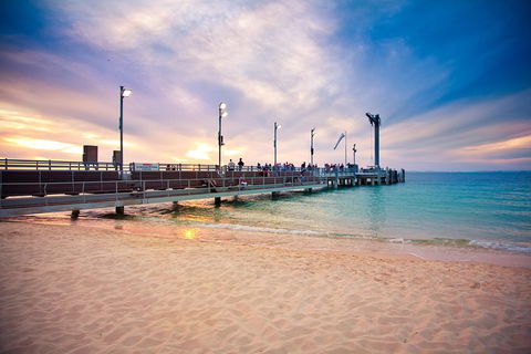 Tangalooma Island Resort Whale Watching Day Cruise With Dolphin Viewing - Accommodation Guide 3