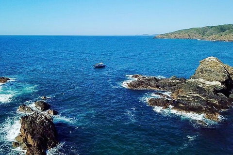 Julian Rocks Byron Bay Cruise - Accommodation Guide 0