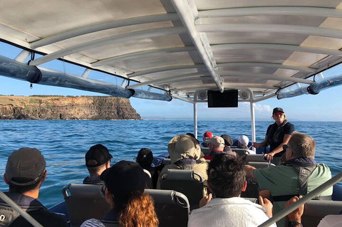 Julian Rocks Byron Bay Cruise - Accommodation Guide 4