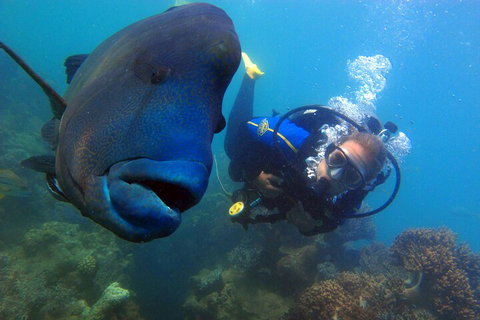 2 Night Whitsunday Islands Cruise On New Horizon From Airlie Beach - Accommodation China 4