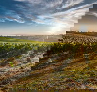 Perth to Margaret River Wine Tour - 2 Day Premium Boutique Wine Tour Experience - Accommodation Asia