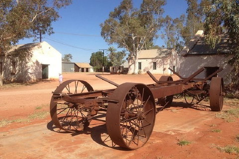 Palm Valley 4WD Day Tour - Accommodation Guide 0