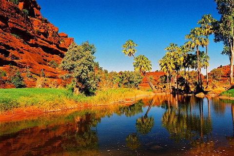 Palm Valley 4WD Day Tour - Accommodation Guide 2