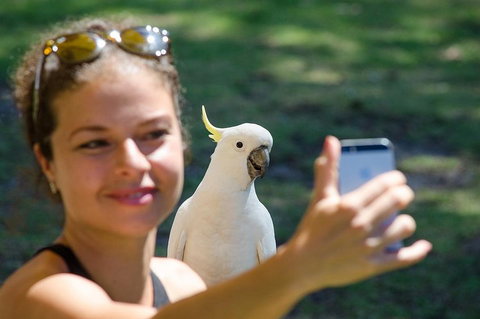 Melbourne To Adelaide South East Coast 3 Day Overland Tour - Accommodation Guide 3