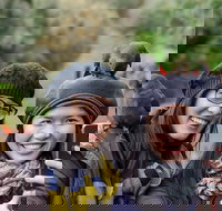 Small-Group Great Ocean Road and 12 Apostles Full-Day Tour from Melbourne - Accommodation China