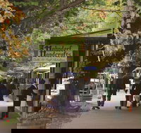 Adelaide Highlights Hahndorf  McLaren Vale Wine Tasting and Sightseeing Tour - Accommodation Guide