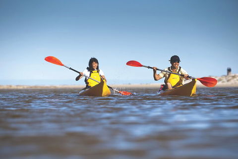 Kangaroo Island Self-Guided Kayaking On The Harriet River - Accommodation Guide 2