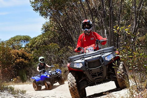 Kangaroo Island Quad Bike (ATV) Tours - Accommodation Guide 5