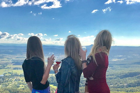 Mount Tamborine Wine Tasting Tour From Brisbane Or The Gold Coast - Accommodation Guide 1