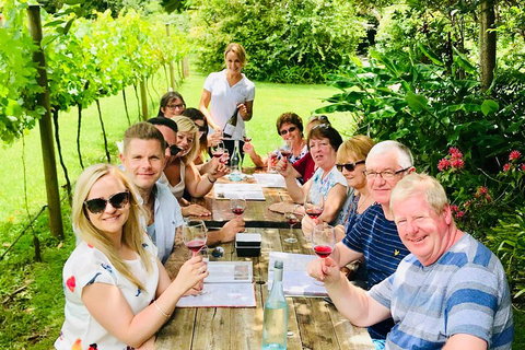 Mount Tamborine Wine Tasting Tour From Brisbane Or The Gold Coast - Accommodation Guide 5