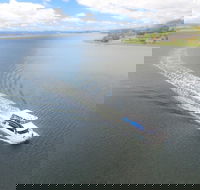 2.5 hour Afternoon Discovery Cruise including Cataract Gorge departs at 1 30 pm - Accommodation China