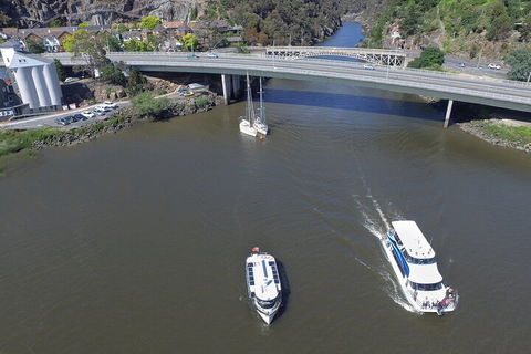 2.5 Hour Afternoon Discovery Cruise Including Cataract Gorge Departs At 1: 30 Pm - Accommodation Guide 5