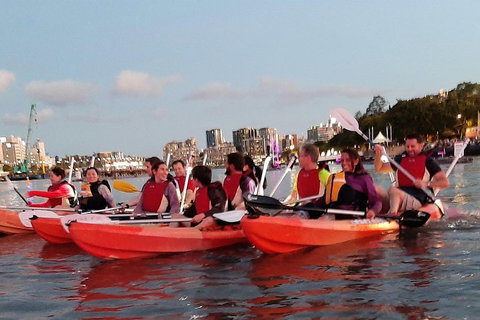 Brisbane River Guided Evening Tour By Kayak - Our Most Popular Tour - Accommodation Guide 0