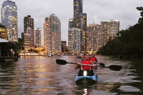 Brisbane River Guided Evening Tour By Kayak - Our Most Popular Tour - Accommodation Guide 3