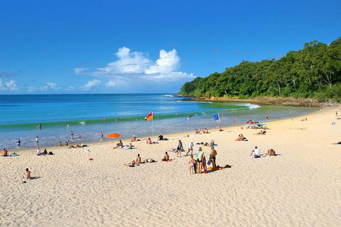 Noosa Everglades Serenity Cruise & Highlights Tour Inc. Lunch & Cruise - Accommodation Asia 4