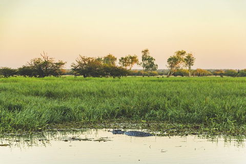 Yellow Water Cruise - Kakadu - Accommodation Asia 3