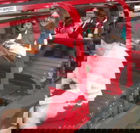 Blue Mountains Private Tour with Wildlife Park and River Cruise - Accommodation China