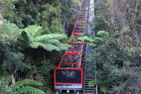 Blue Mountains Private Full-Day Tour From Sydney With Cruise - Accommodation Guide 5