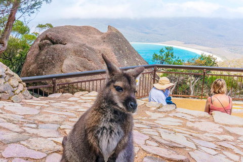 Wineglass Bay & Freycinet NP Full Day Tour From Hobart Via Richmond Village - Accommodation Guide 0