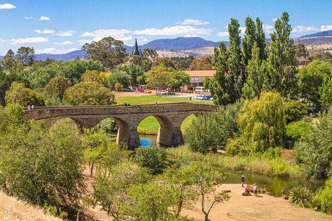 Wineglass Bay & Freycinet NP Full Day Tour From Hobart Via Richmond Village - Accommodation Guide 4