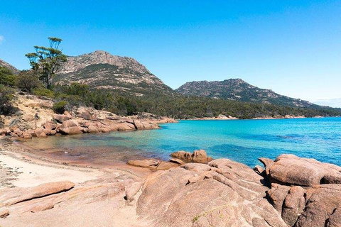 Wineglass Bay & Freycinet NP Full Day Tour From Hobart Via Richmond Village - Accommodation Guide 5