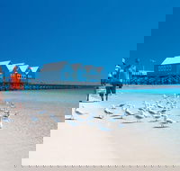 Margaret River and Geographe Bay Region Day Trip from Perth - Accommodation Asia