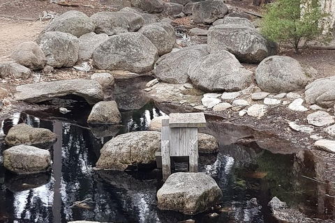 Bendigo, Echuca & The Mighty Murray - Accommodation Guide 1