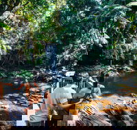 Aquaduck  Your choice of Gold Coast Rainforest Tour - Accommodation China