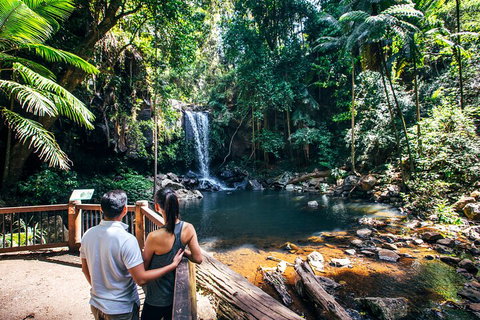 Aquaduck & Your Choice Of Gold Coast Rainforest Tour - Accommodation Guide 0