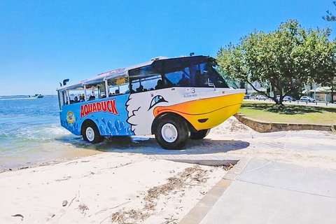 Aquaduck & Your Choice Of Gold Coast Rainforest Tour - Accommodation Guide 1