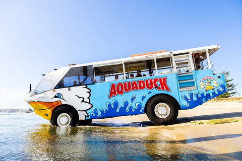 Aquaduck & Your Choice Of Gold Coast Rainforest Tour - Accommodation Guide 3