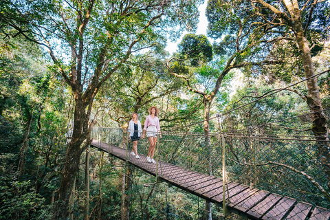 Aquaduck & Your Choice Of Gold Coast Rainforest Tour - Accommodation Guide 4