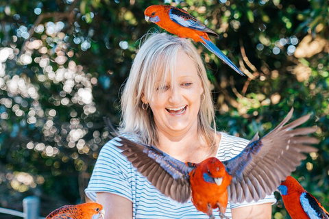 Aquaduck & Your Choice Of Gold Coast Rainforest Tour - Accommodation Guide 5