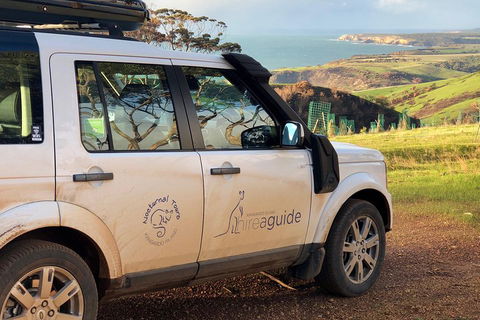 Kangaroo Island 4WD Tour - Best Of KI In 2 Days - Accommodation Guide 4