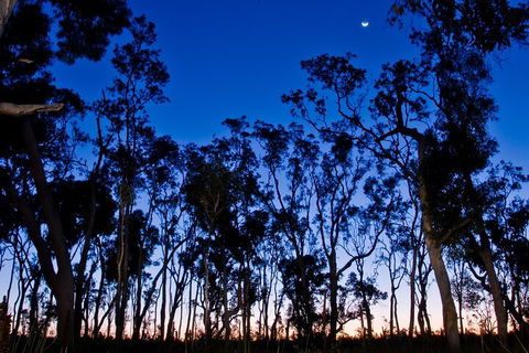 Small-Group Kangaroo Island 4WD Night Tour - Accommodation Guide 2