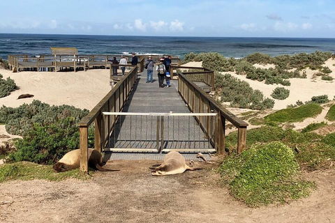 Kangaroo Island 4WD Tour - Best Of KI - Accommodation Guide 2