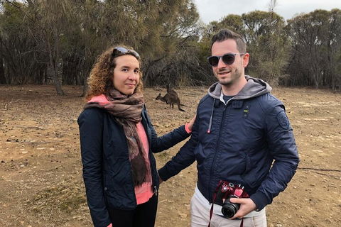 Kangaroo Island 4WD Tour - Best Of KI - Accommodation Guide 3