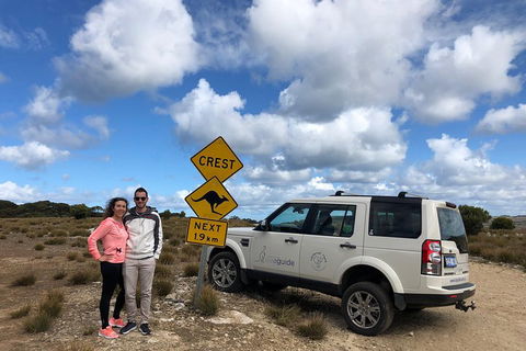 Kangaroo Island 4WD Tour - Best Of KI - Accommodation Guide 5