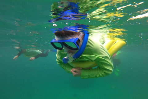 Manly Snorkel Trip And Nature Walk With Local Guide - Accommodation China 5