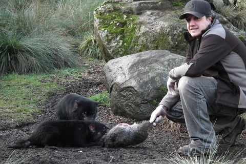 After Dark Tasmanian Devil Feeding Tour At Cradle Mountain - Accommodation Guide 2