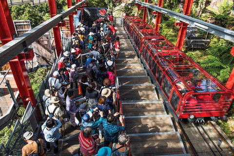 Private Guided Tour: Blue Mountains Tour From Sydney - Accommodation Guide 1