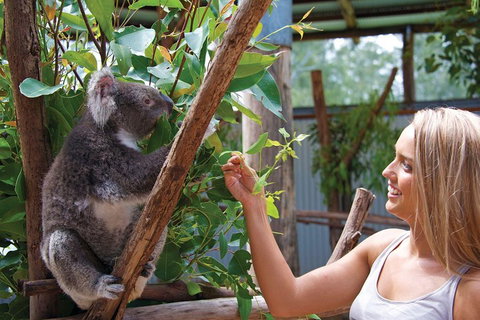 Private Guided Tour: Blue Mountains Tour From Sydney - Accommodation Guide 5