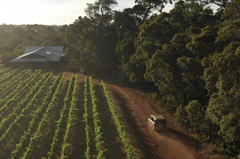 The All About Margaret River Tour: Wine, Coffee, Lunch And Forest - Accommodation Asia 1