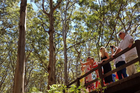 The All About Margaret River Tour: Wine, Coffee, Lunch And Forest - Accommodation Asia 3