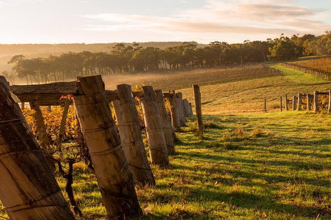 The All About Margaret River Tour: Wine, Coffee, Lunch And Forest - Accommodation Asia 5