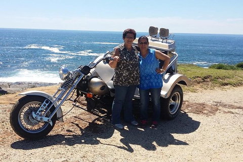 Bondi & Sydney Sights Trike Tour 1.5hrs - Accommodation Guide 1