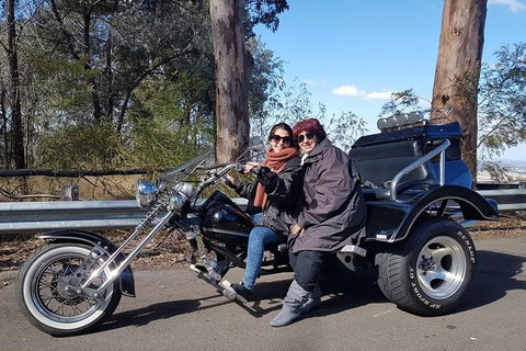 Bondi & Sydney Sights Trike Tour 1.5hrs - Accommodation Guide 3