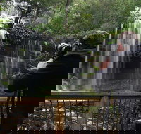 Mt Field and Styx Valley Photography Tour - Accommodation China