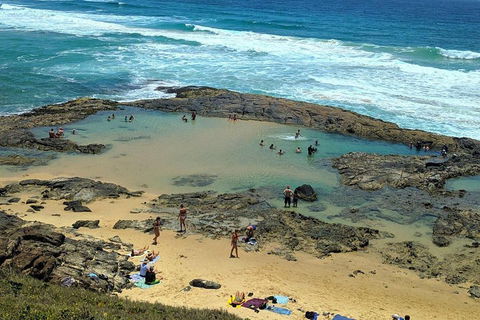 Pippies 3 Days 2 Nights Fraser Island Tour - Accommodation Asia 5