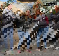 Guided Walking Tour in Adelaide - Accommodation China